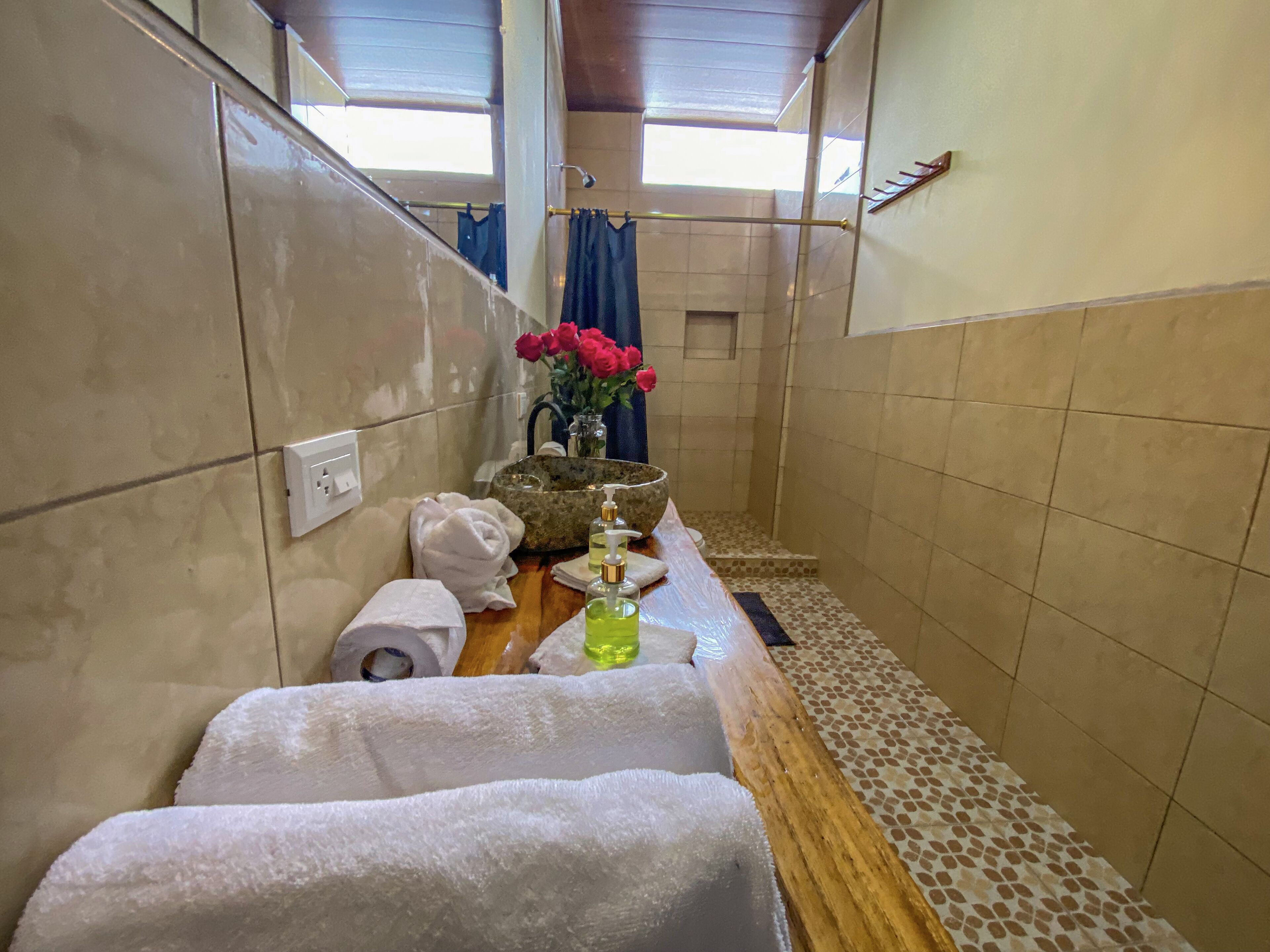 Free toiletries, hair dryer, towels, shampoo