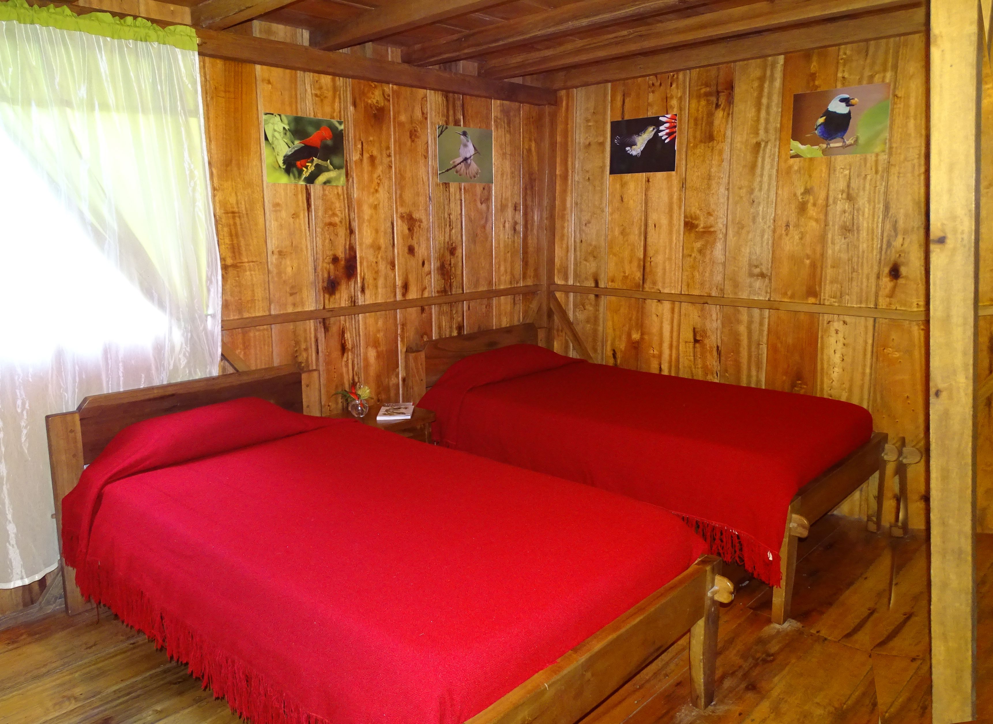 Une pièce de style cabane en bois, avec deux lits, des murs en bois et des tableaux représentant des oiseaux.