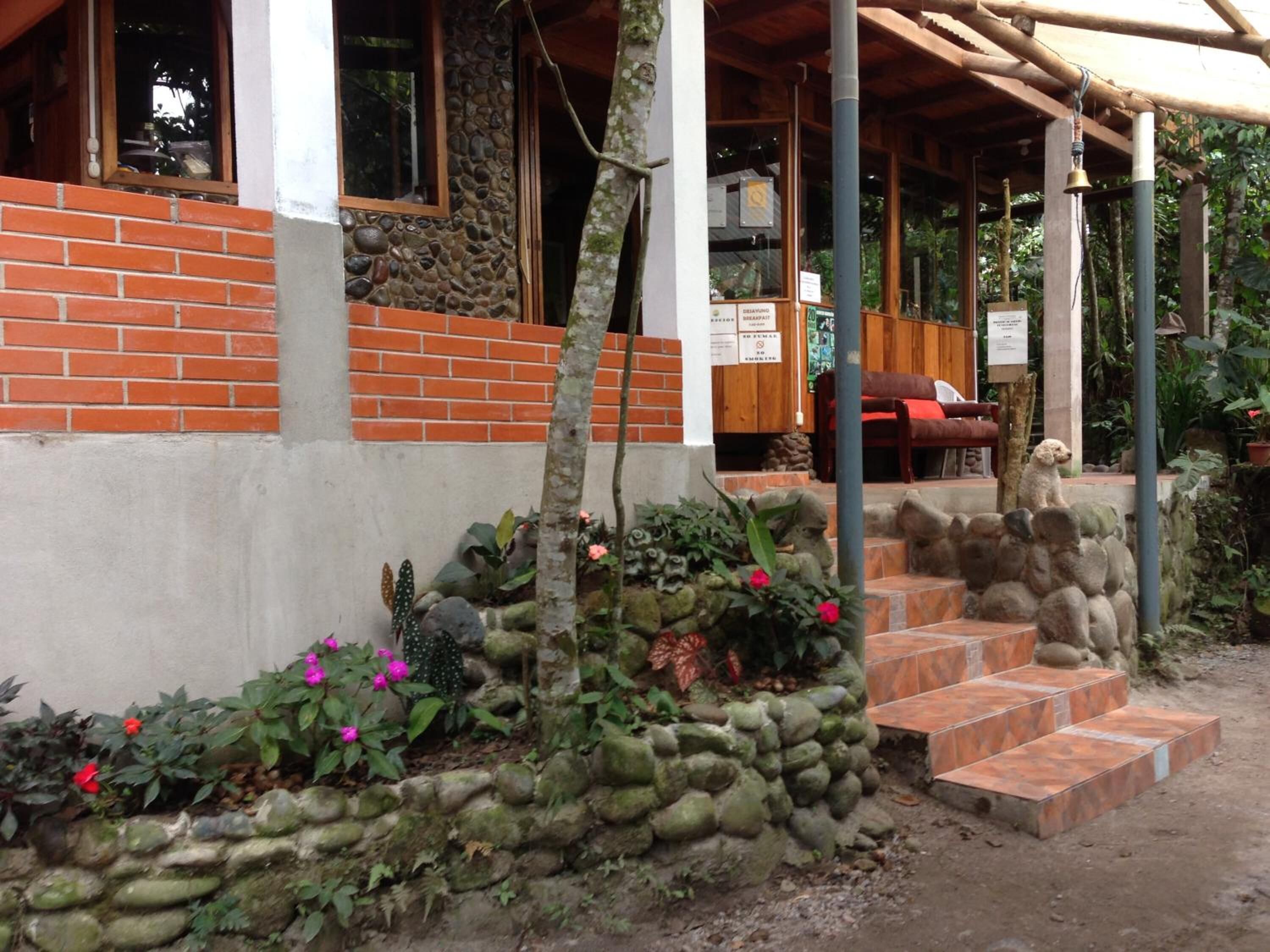 Un edificio con fachada de ladrillo, un muro de piedra con plantas y una escalera de madera que lleva a un área cubierta con un banco y un perro.