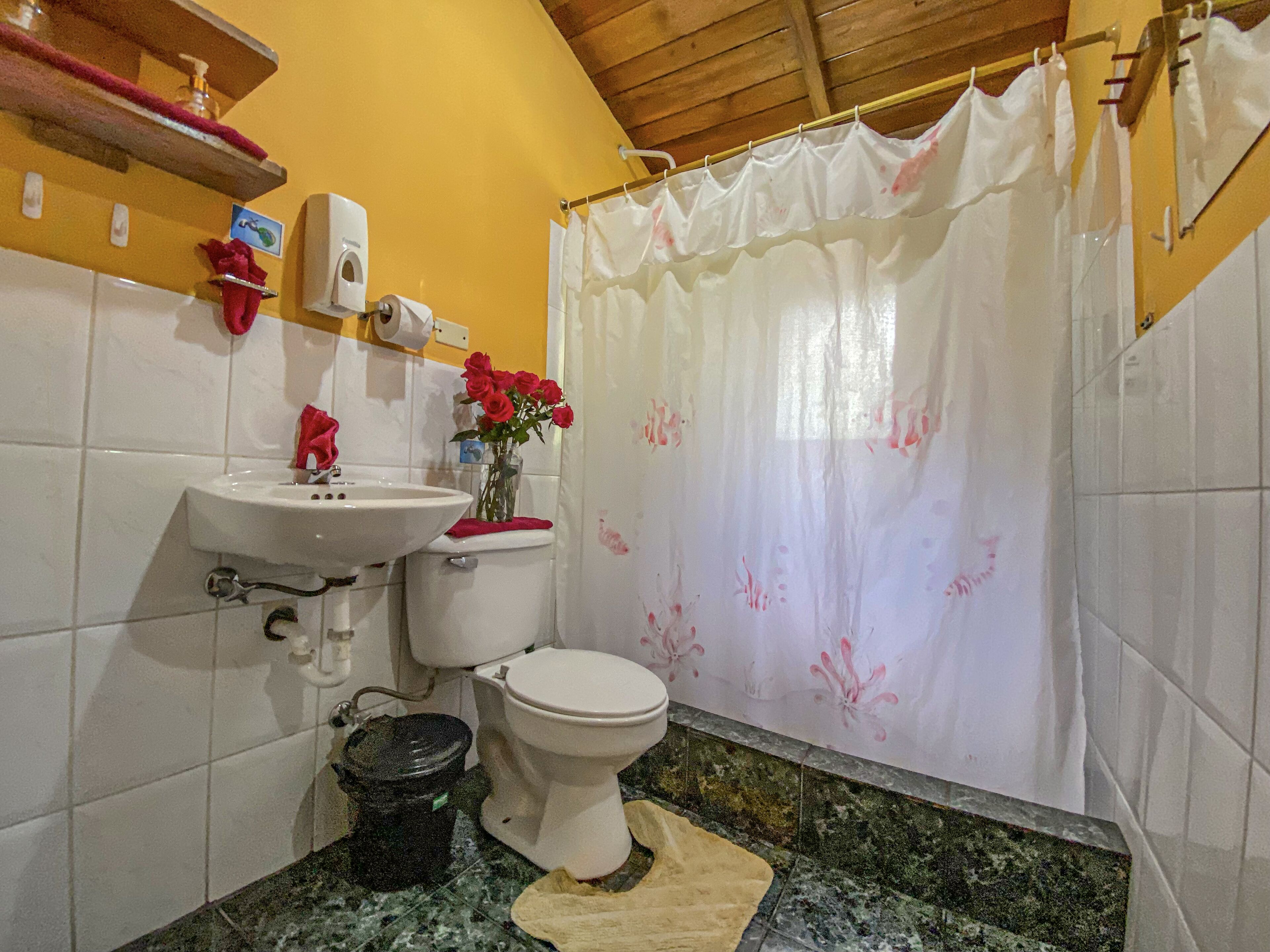 Un bagno con lavandino, WC e tenda da doccia.