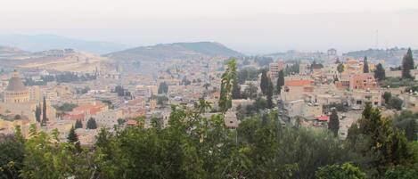 A cityscape with a prominent historical building, dense urban area, and surrounding greenery.