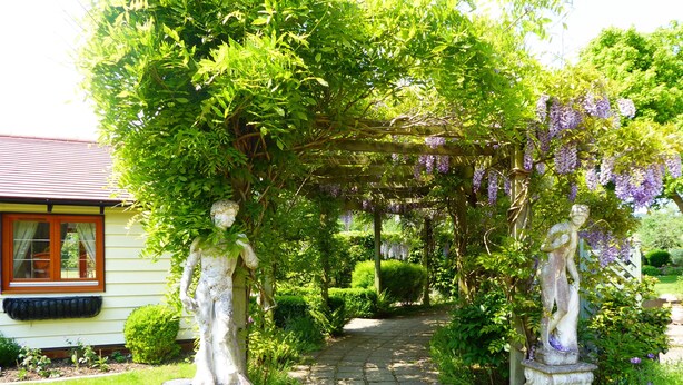 A garden with a stone pathway, statues, and a pergola covered with purple flowers. - Handywater Cottage B&B (Henley-on-Thames)