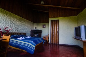 Economy-Doppelzimmer zur Einzelnutzung, Kamin, Gartenblick | Individuell eingerichtet, kostenloses WLAN, Bettwäsche