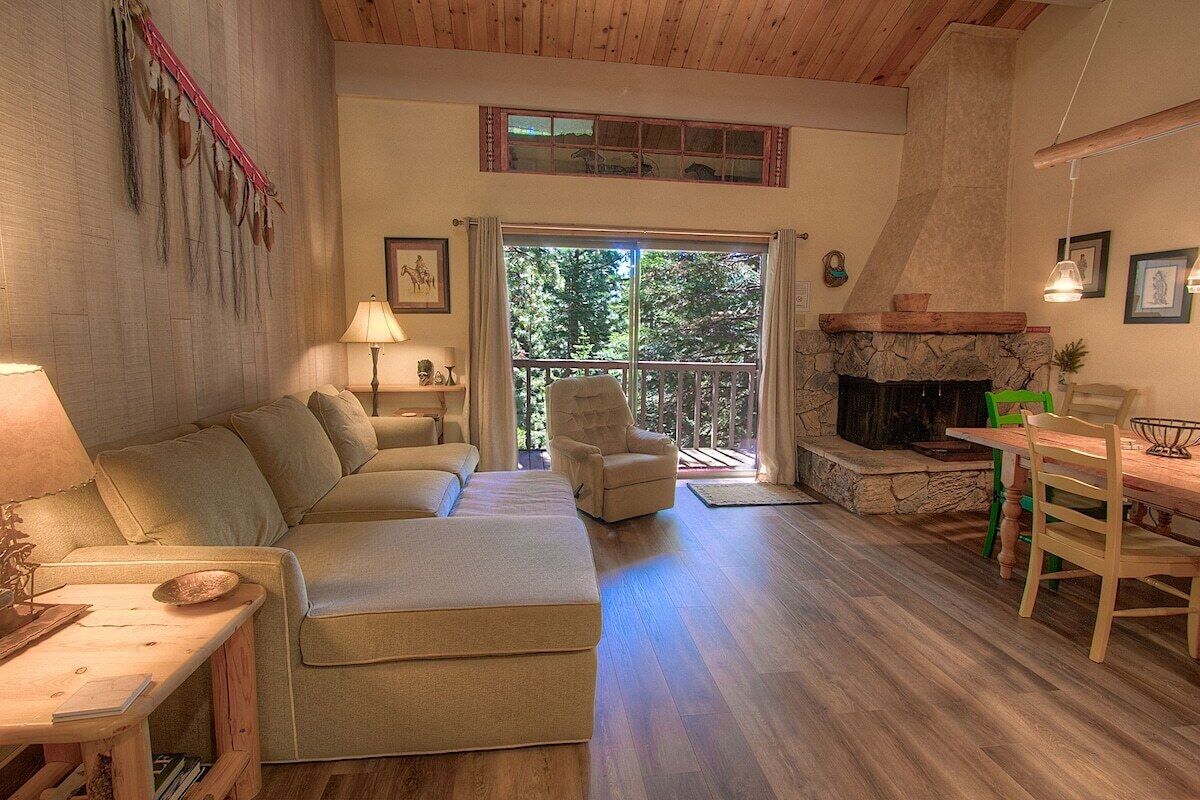 TV, fireplace, books