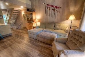 TV, fireplace, books