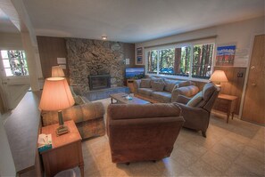 TV, fireplace, books
