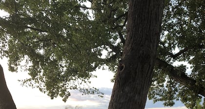Atemberaubende Aussicht auf den See, entspannender Kurzurlaub am Chain O'Lakes