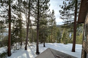 Surrounded by tall pine trees, this cabin offers a serene retreat amidst a forested area.