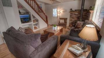 Televisión y libros