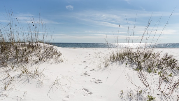 Beach - Nautilus 2310  Gulf View 2BD/2BA 3rd Floor.  Free Beach Service 3/1-10/31 (Ft Walton Beach)