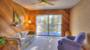 TV, fireplace, books