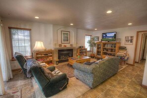 TV, fireplace, books