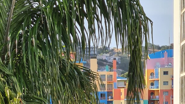 A marina with boats docked, a grassy area, and colorful buildings in the background.
