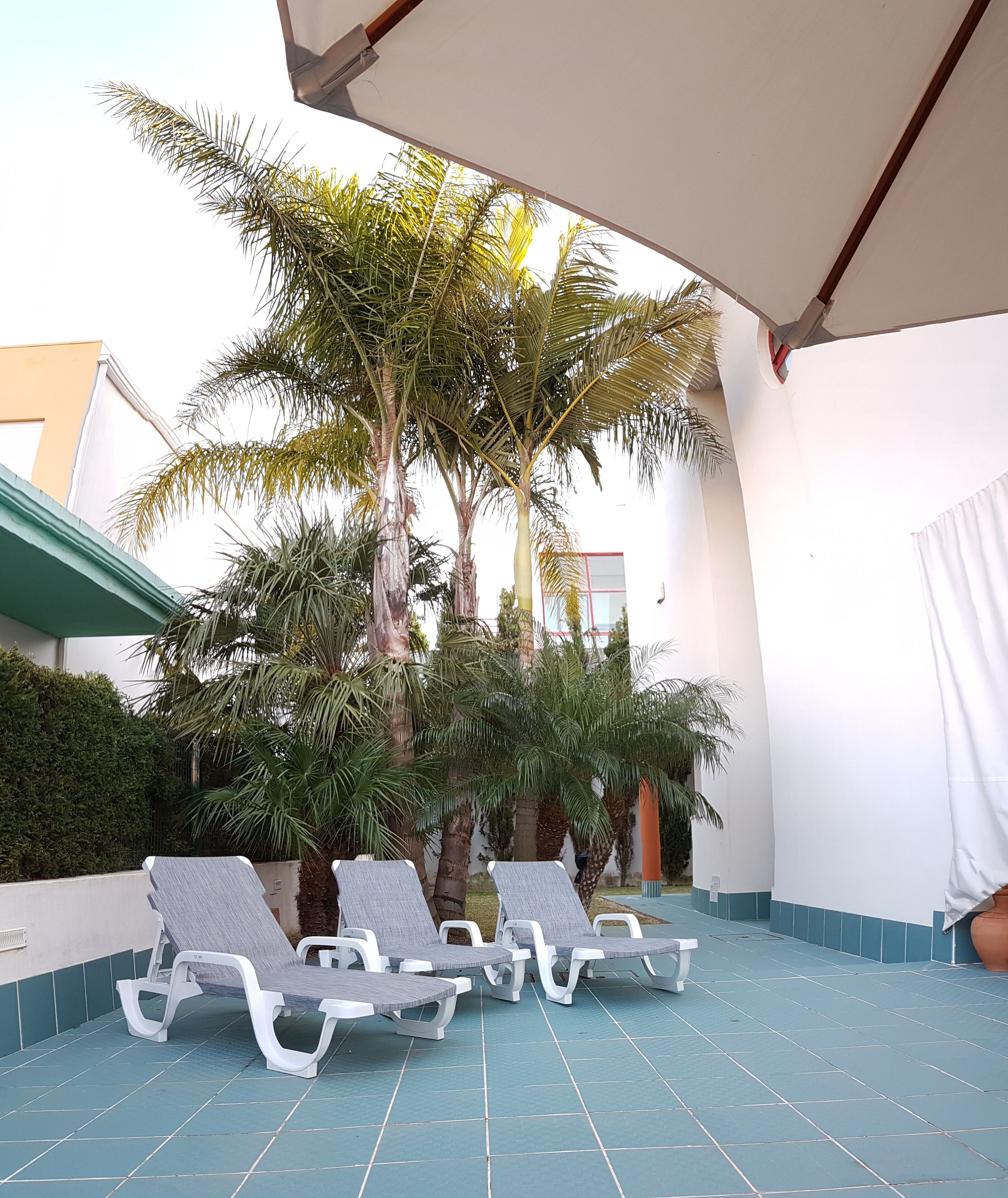 An outdoor pool area with lounge chairs and palm trees.