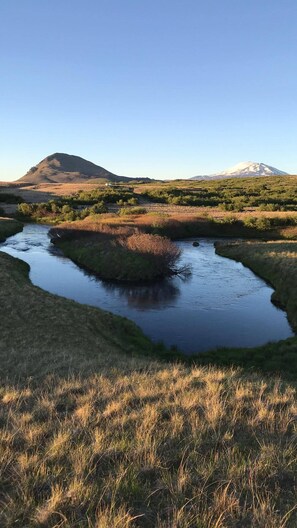 Unclassified image, 3 of 19, button