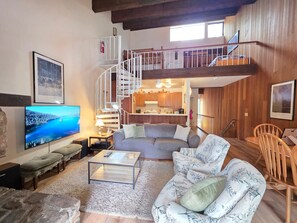 TV, fireplace, books