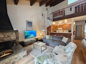 TV, fireplace, books