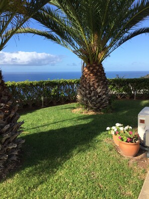 Property grounds -  Wonderful villa with heated pool in first line !!! (Juan Fernández. El Pris. Tacoronte)