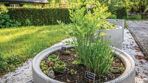 A garden with labeled planters containing basil and chives.