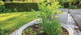 charmantes Ferienhaus