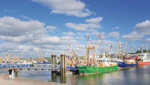 Ein Hafen mit mehreren vertäuten Fischerbooten, einer Brücke und einem klaren Himmel.