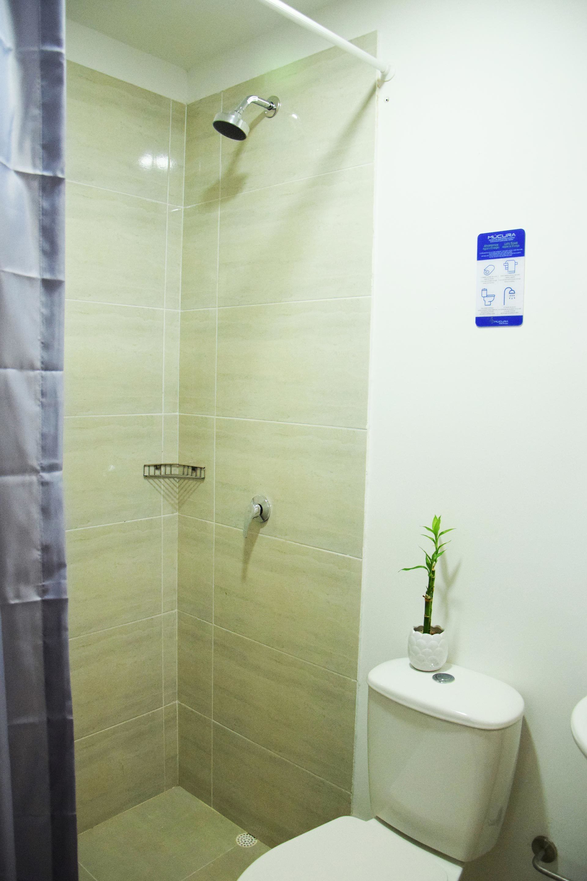 premium double room, non smoking, ground floor | bathroom | shower, free toiletries, hair dryer, towels
