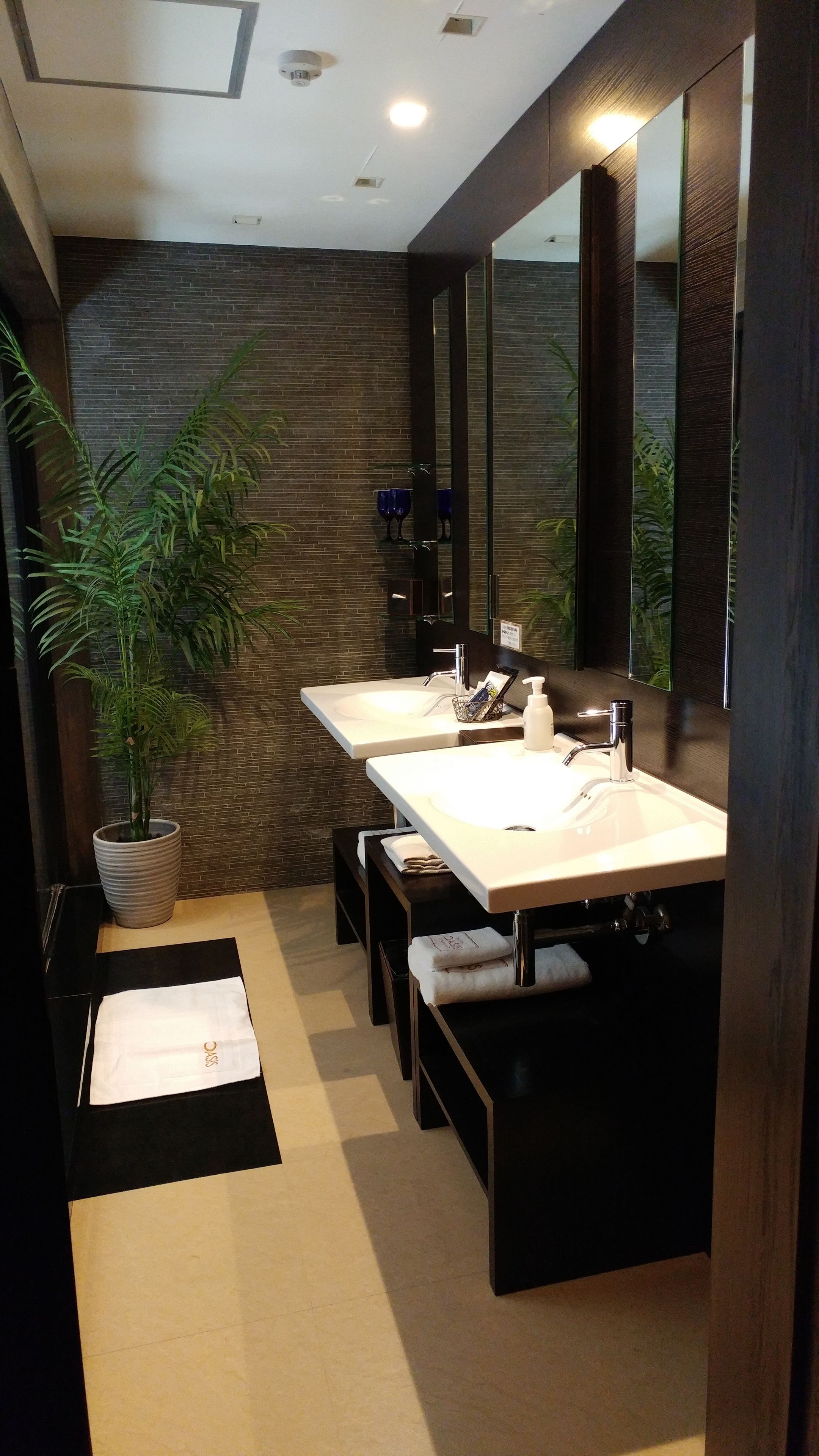 A modern bathroom with two sinks, a large mirror, and a potted plant.