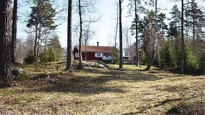 A red cabin with a metal roof surrounded by tall trees and a grassy area.