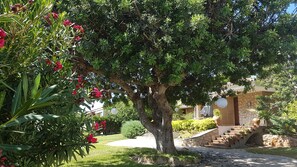 Property grounds - Villa with sea views, direct access to the beach and extensive garden (Alcanar)