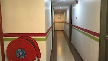 Vestibule