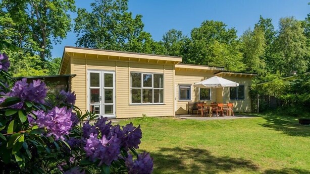 A single-story house with a patio area, a covered outdoor seating area, and a garden with purple flowers.
