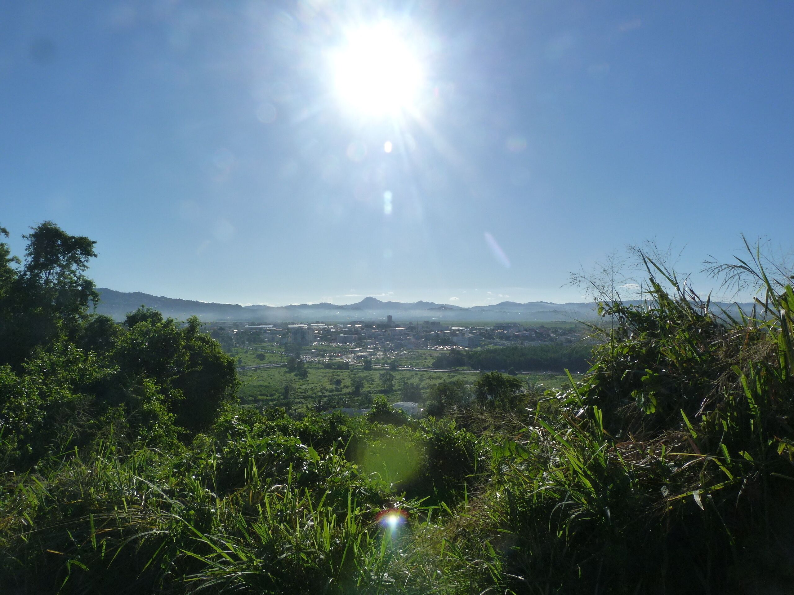 Vista panorámica de una ciudad con montañas al fondo y abundante vegetación en primer plano.