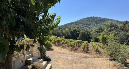 Le Cabanon 1 - GRIMAUD