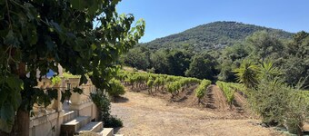 Le Cabanon 1 - GRIMAUD