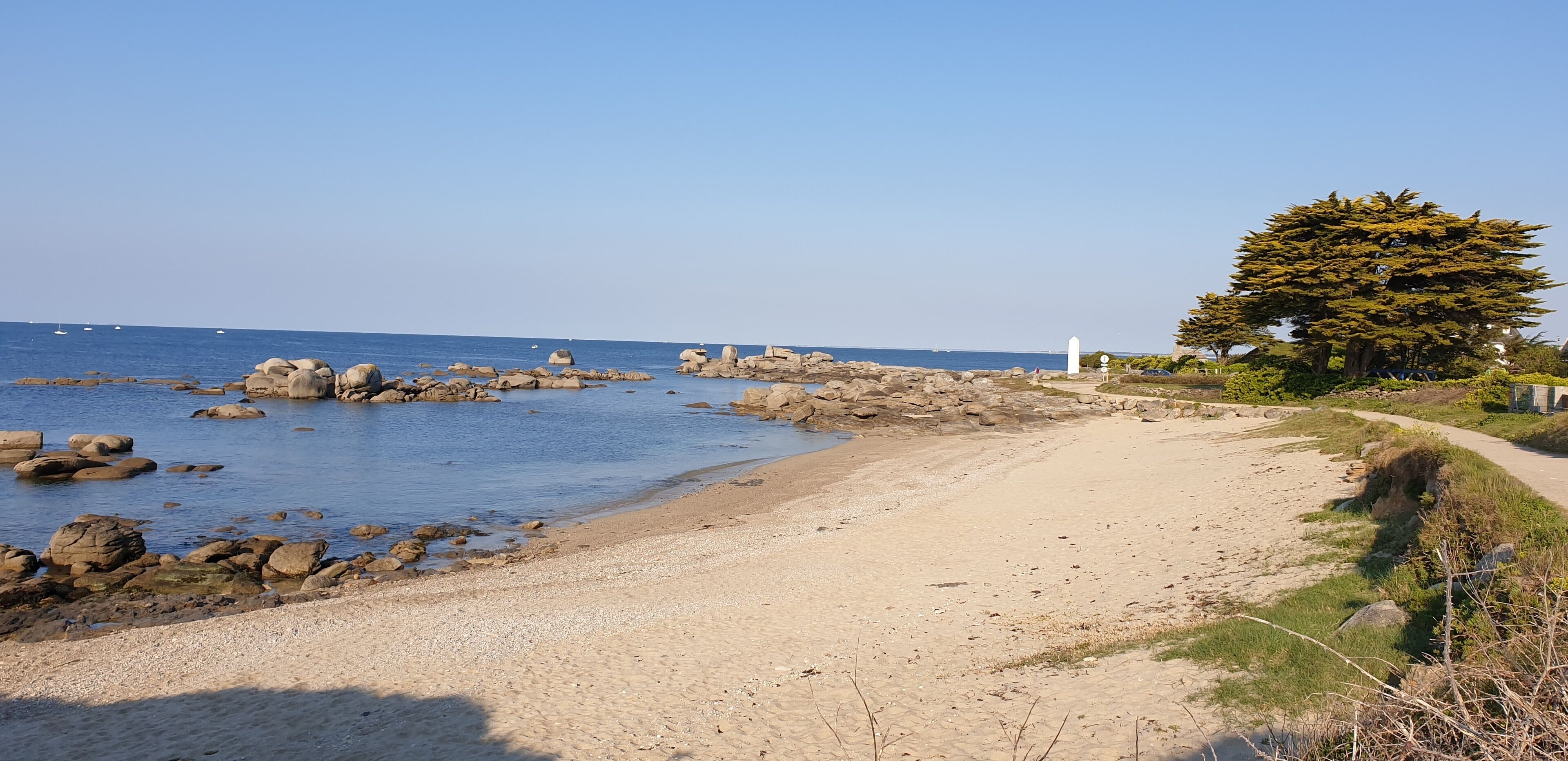 Un sendero costero con una playa arenosa, afloramientos rocosos y un gran árbol.