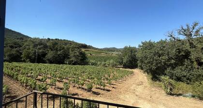Der Cabanon 2 - La Garde-Freinet