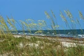 Una playa cerca