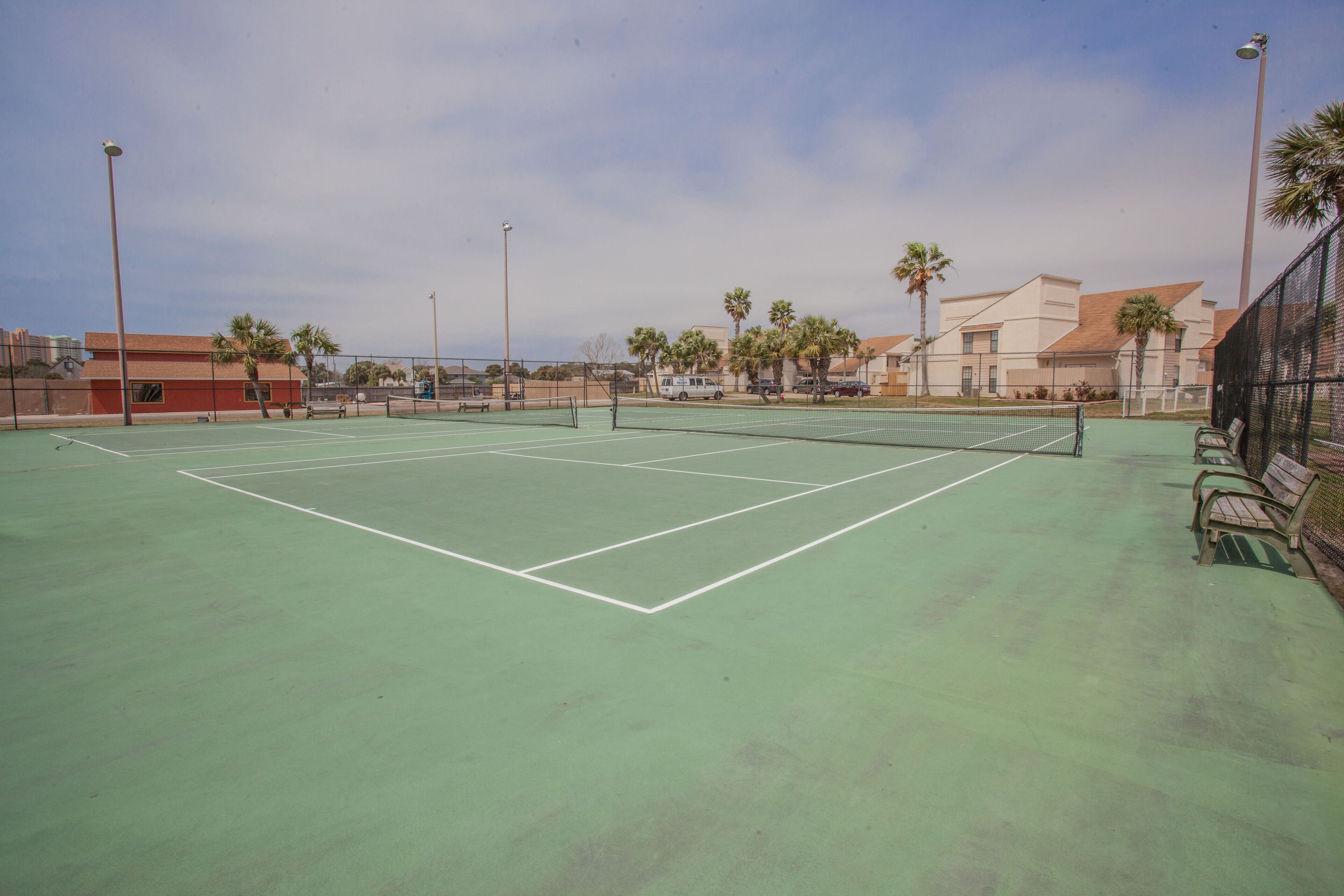 A tennis court with a green surface, surrounded by a fence, benches, and palm trees.