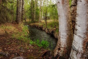 Niet-geclassificeerde afbeelding, 2 van 9, knop
