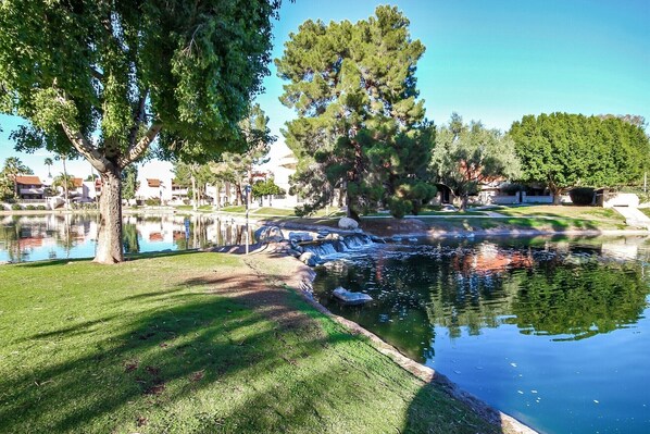 Property grounds