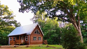 A wooden cabin with a metal roof, surrounded by trees.