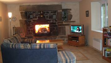 Fladskærms-tv, pejs, bøger