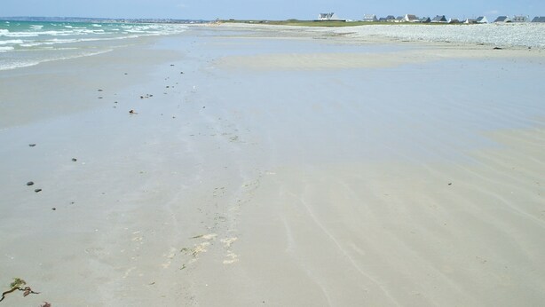 A beach with a sandy shore, some seaweed, and a few buildings in the distance. - Spacious farmhouse ,wheelchair accessible , close to stunning beaches . (Landudec)