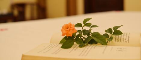 An open book with a rose on top.
