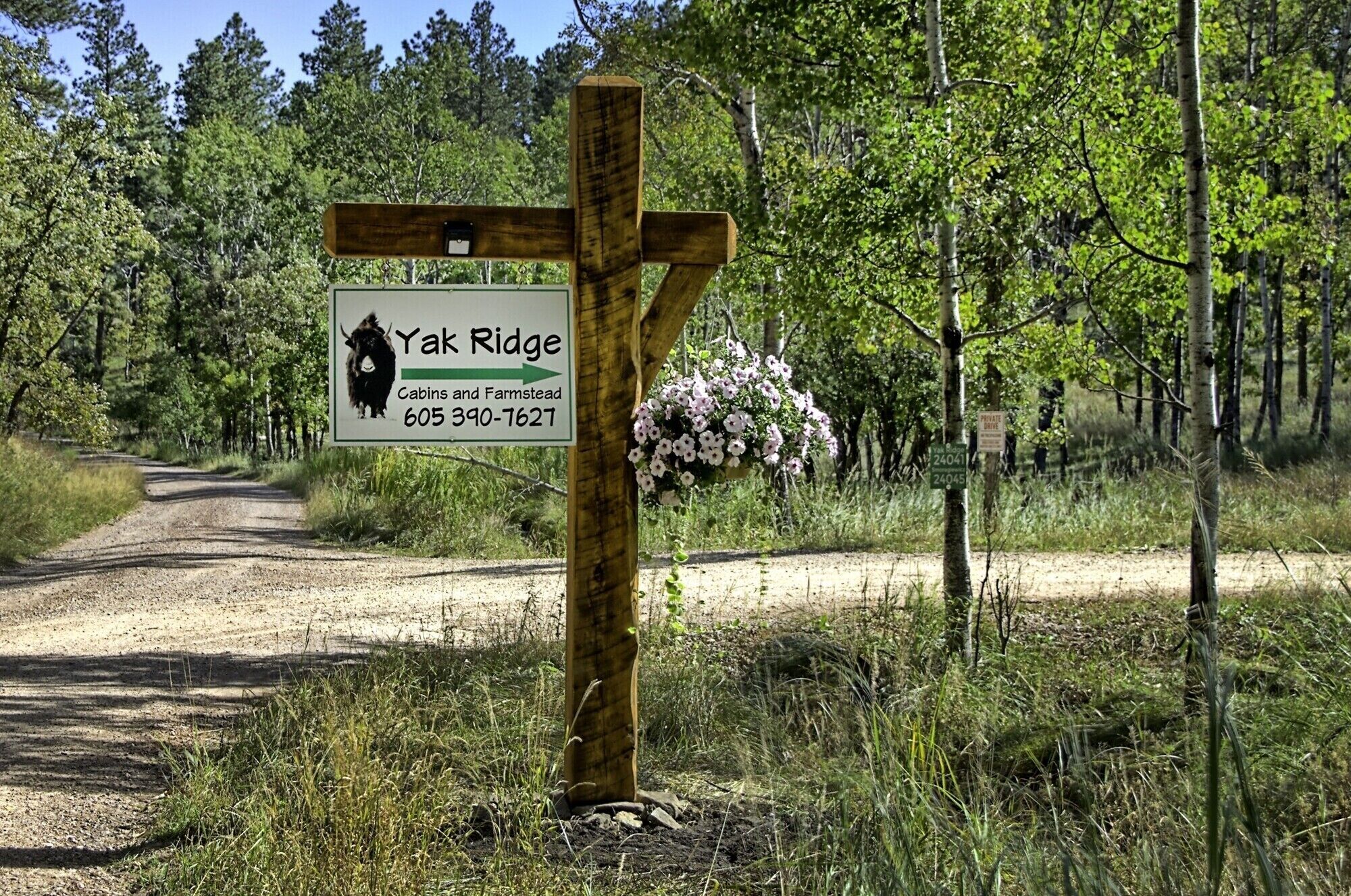 A wooden signpost with a directional arrow and a phone number for Yak Ridge Cabins and Farmstead.