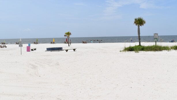 Een strand met wit zand, enkele palmbomen en een bord.