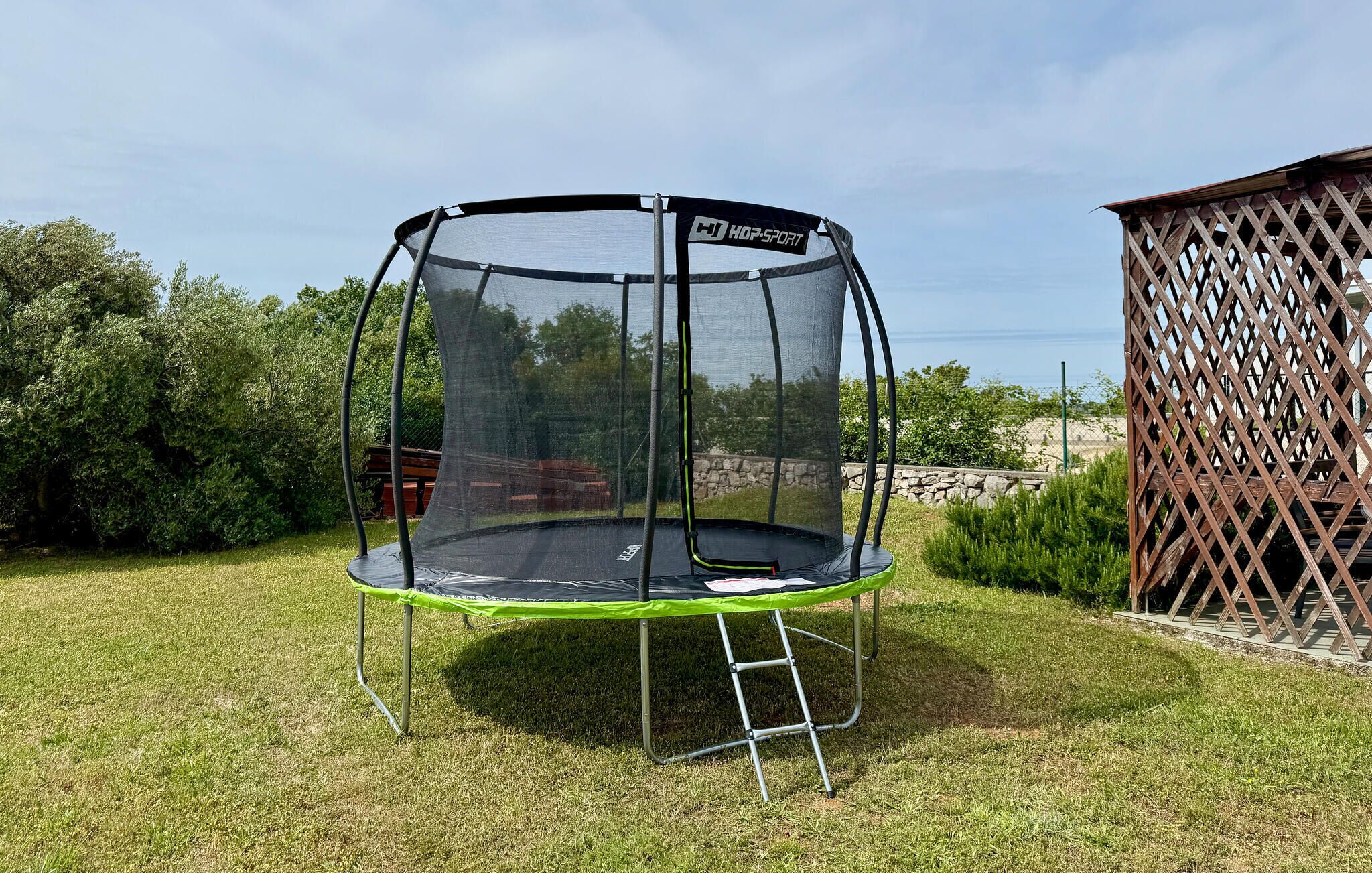 Ein Trampolin mit Sicherheitsnetz und einer Leiter, auf einer grünen Rasenfläche platziert.