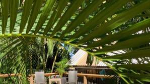 A wooden deck with a swimming pool, surrounded by palm trees and a covered seating area. - Water Front Casita w pool On Tropical One Acre Estate (Roatan)