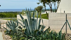 A garden with agave plants and a view of the sea. - Beautiful apartment in Labin with WiFi (Labin)