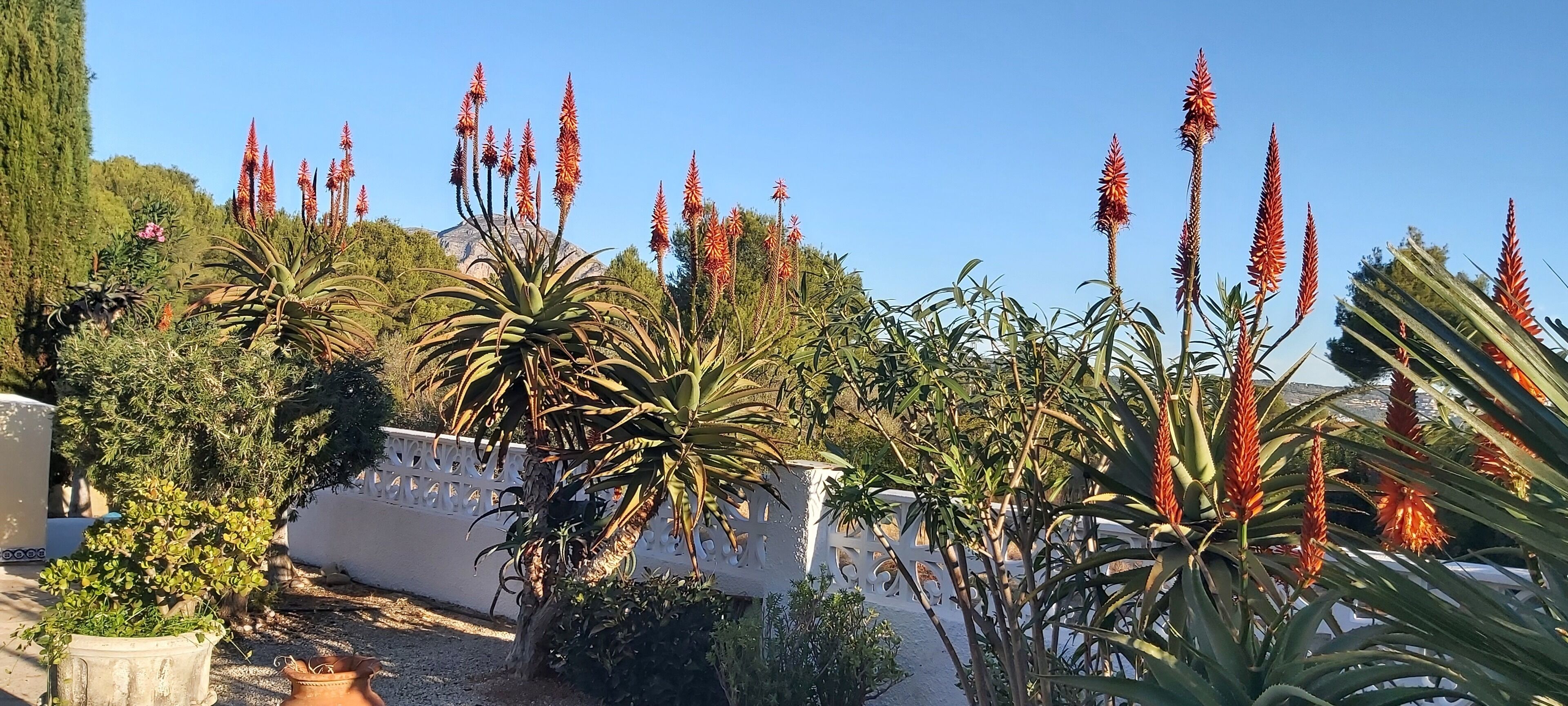 Jardines del alojamiento